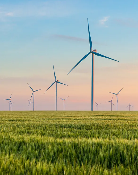Sustainability